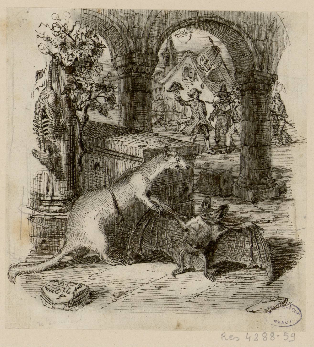 Contenu du La chauve-souris et les deux belettes