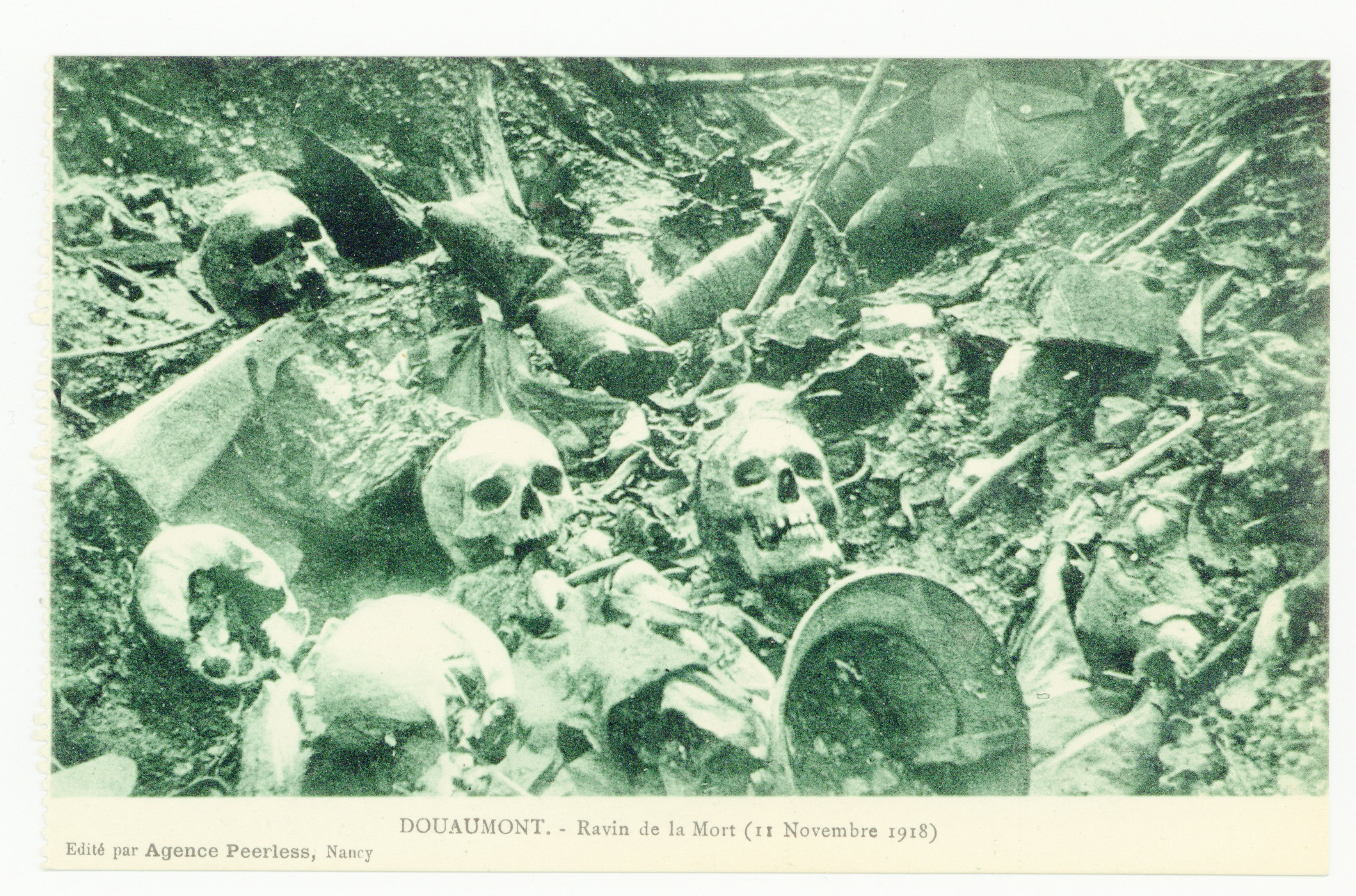 Contenu du Douaumont. Ravin de la mort (11 novembre 1918)