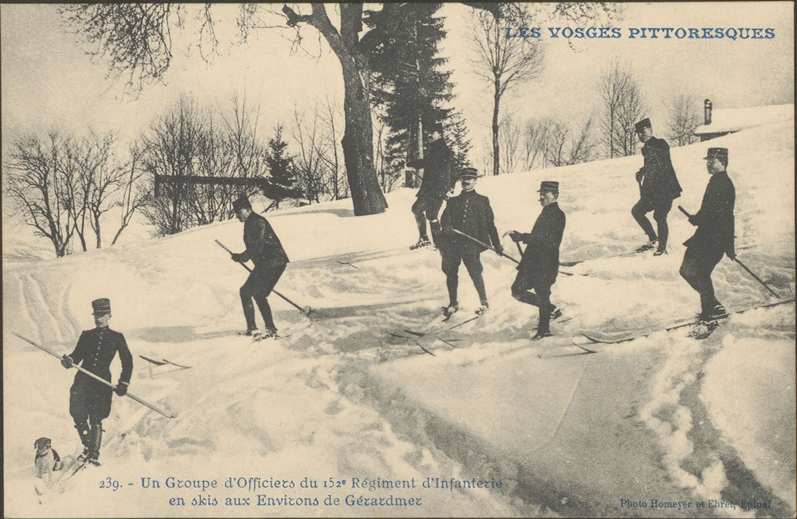 Contenu du Un groupe d'Officiers du 152e Régiment d'infanterie en skis aux environs de Gérardmer