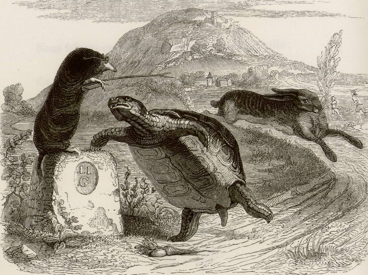 Contenu du fablegrandville