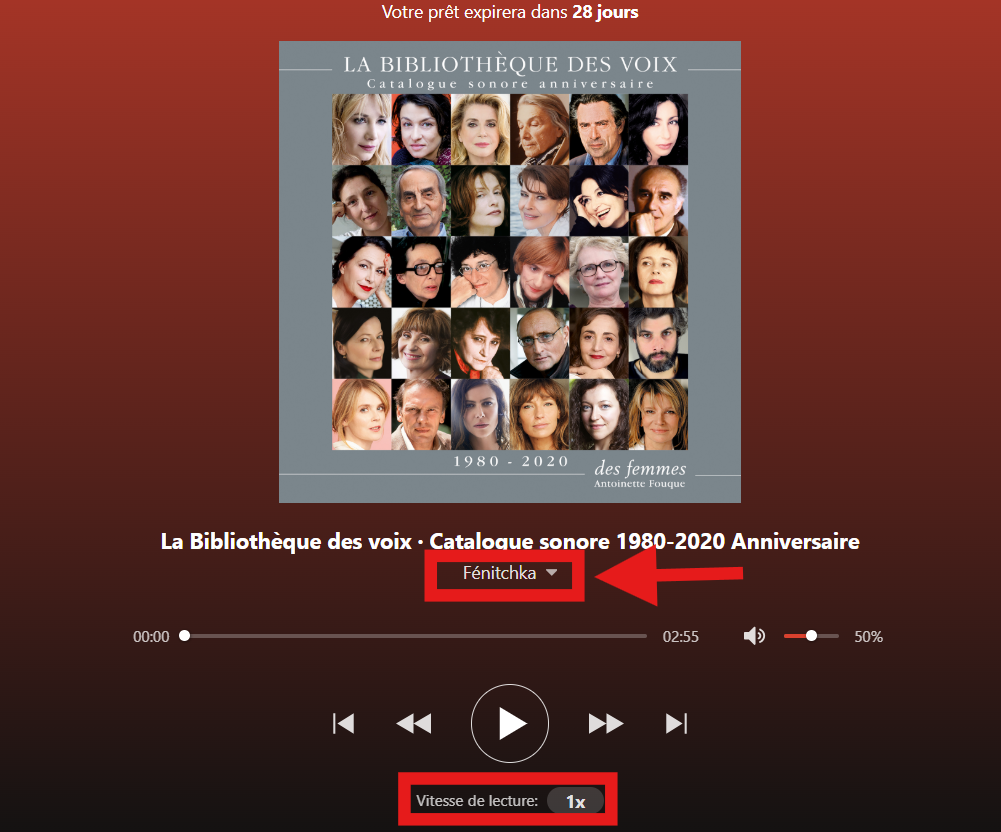 Capture d'écran du lecteur de livres audio