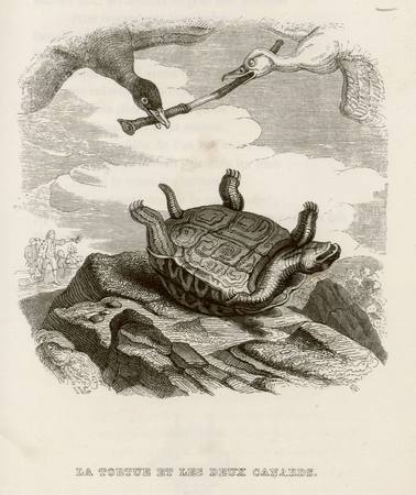 La tortue et les deux canards