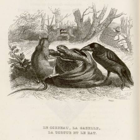 Le corbeau, la gazelle, la tortue et le rat