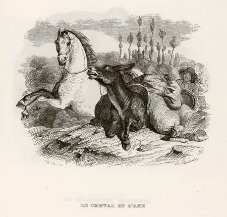 Le cheval et l'âne