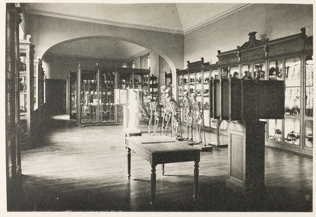 Faculté de médecine, institut anatomique
