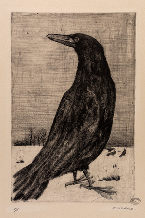 Sans titre : corbeau ou corneille sur un paysage de neige en arrière plan