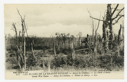 Les ruines de la Grande Guerre. Anizy-le-Château. La forêt d'Anizy