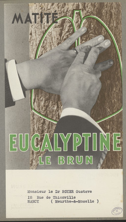 Eucalyptine Le Brun