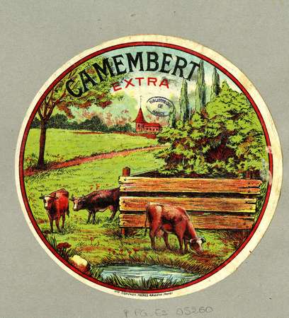 Camembert extra