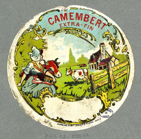 Camembert extra-fin
