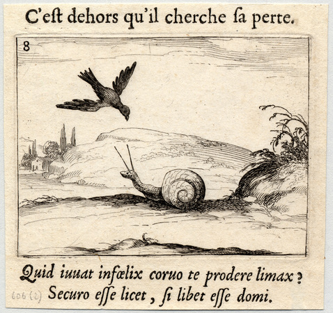 Le corbeau et le limaçon