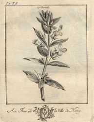 Traité historique des plantes qui croissent dans la Lorraine et les Trois-…