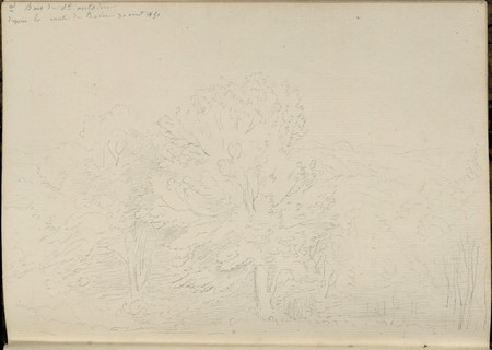Bois de Saint-Antoine depuis la route de Bains, 30 août 1851