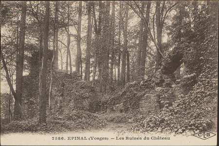 Épinal (Vosges), Les Ruines du Château