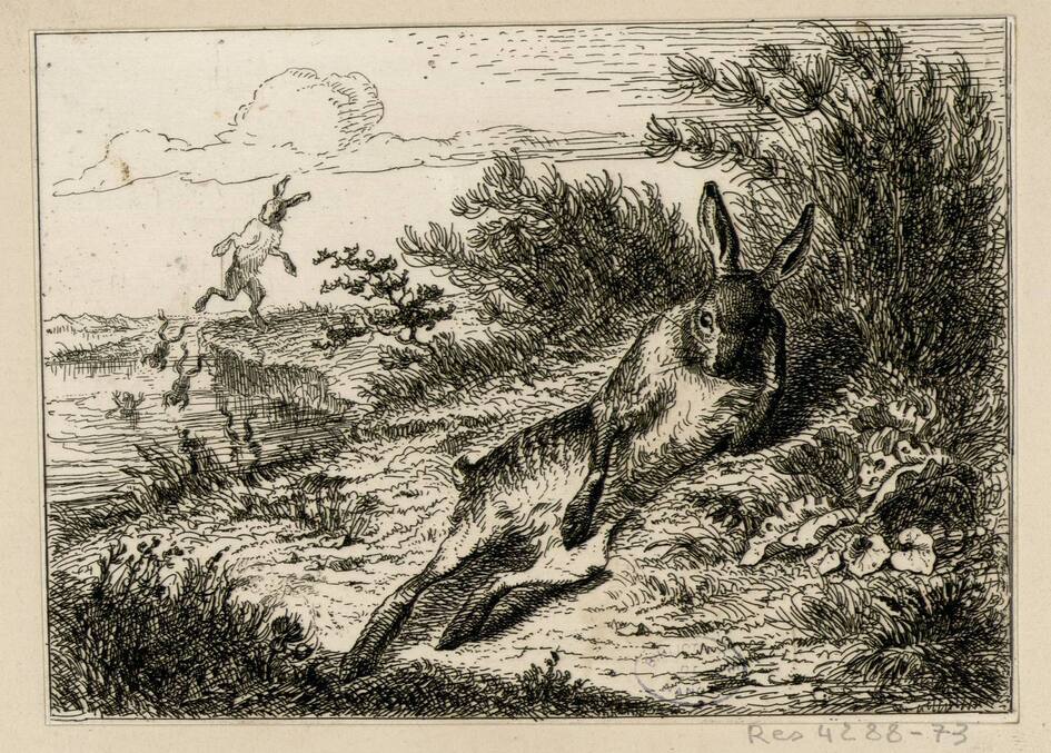 Contenu du Sources et bibliographies