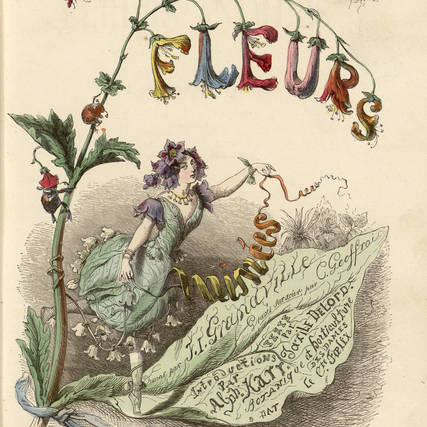 Contenu du Quand les fleurs deviennent des personnages Contenu du Quand les fleurs deviennent des personnages