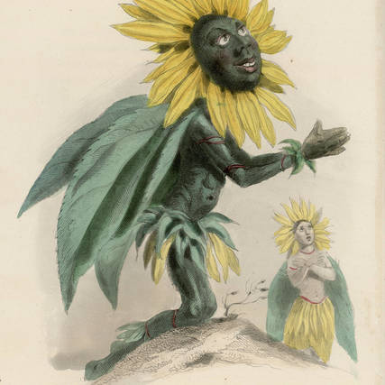 Contenu du Tous les Soleils Contenu du Tous les Soleils