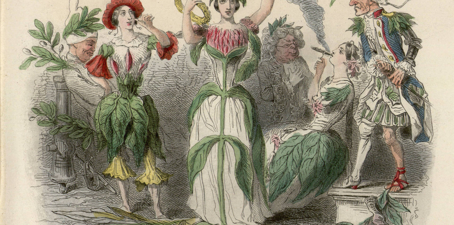 Contenu du Danse et botanique : les Fleurs animées de Grandville (1848)