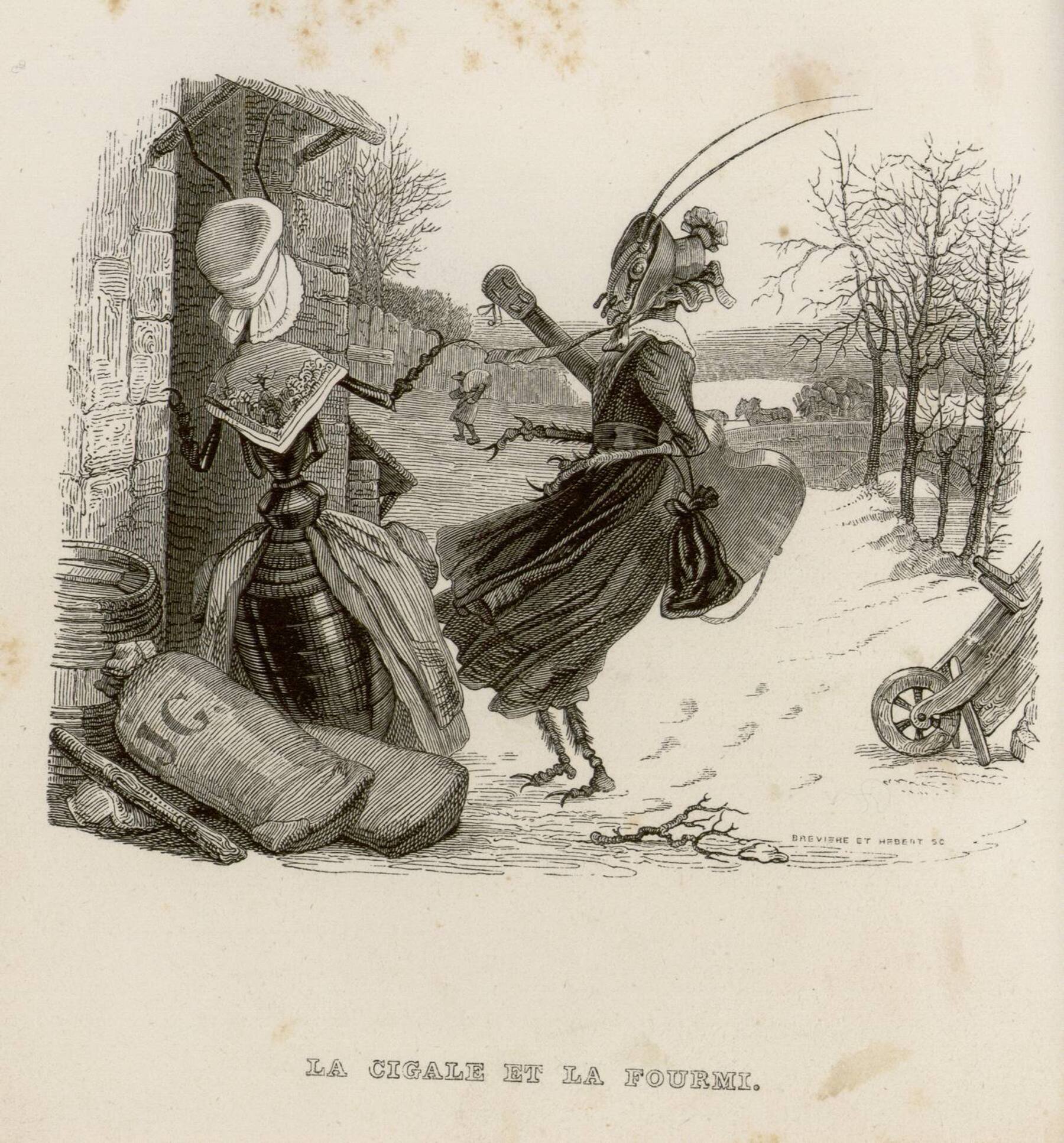 Contenu du La cigale et la fourmi