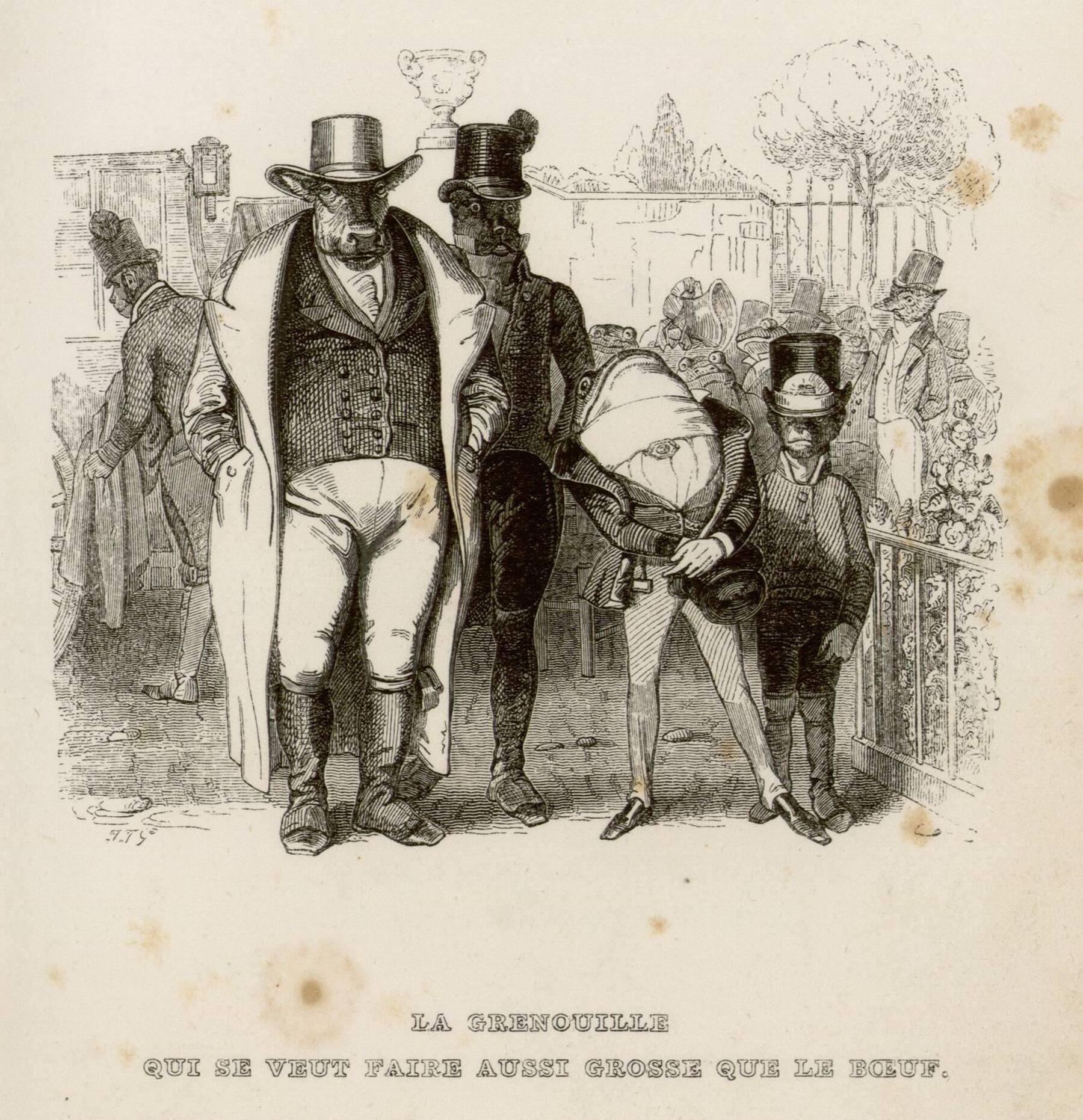 Contenu du La grenouille qui se veut faire aussi grosse que le bœuf