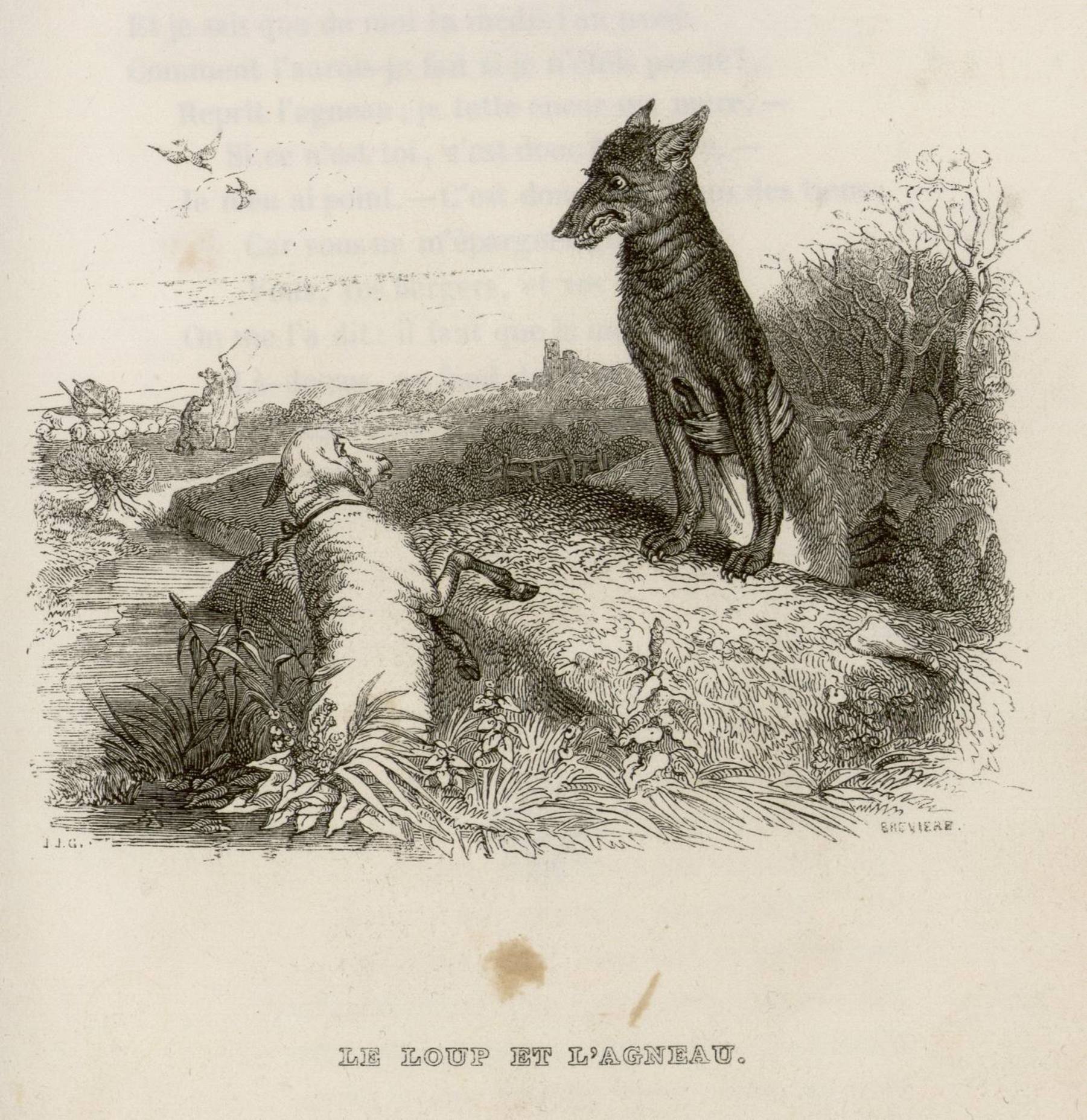 Contenu du Le loup et l'agneau