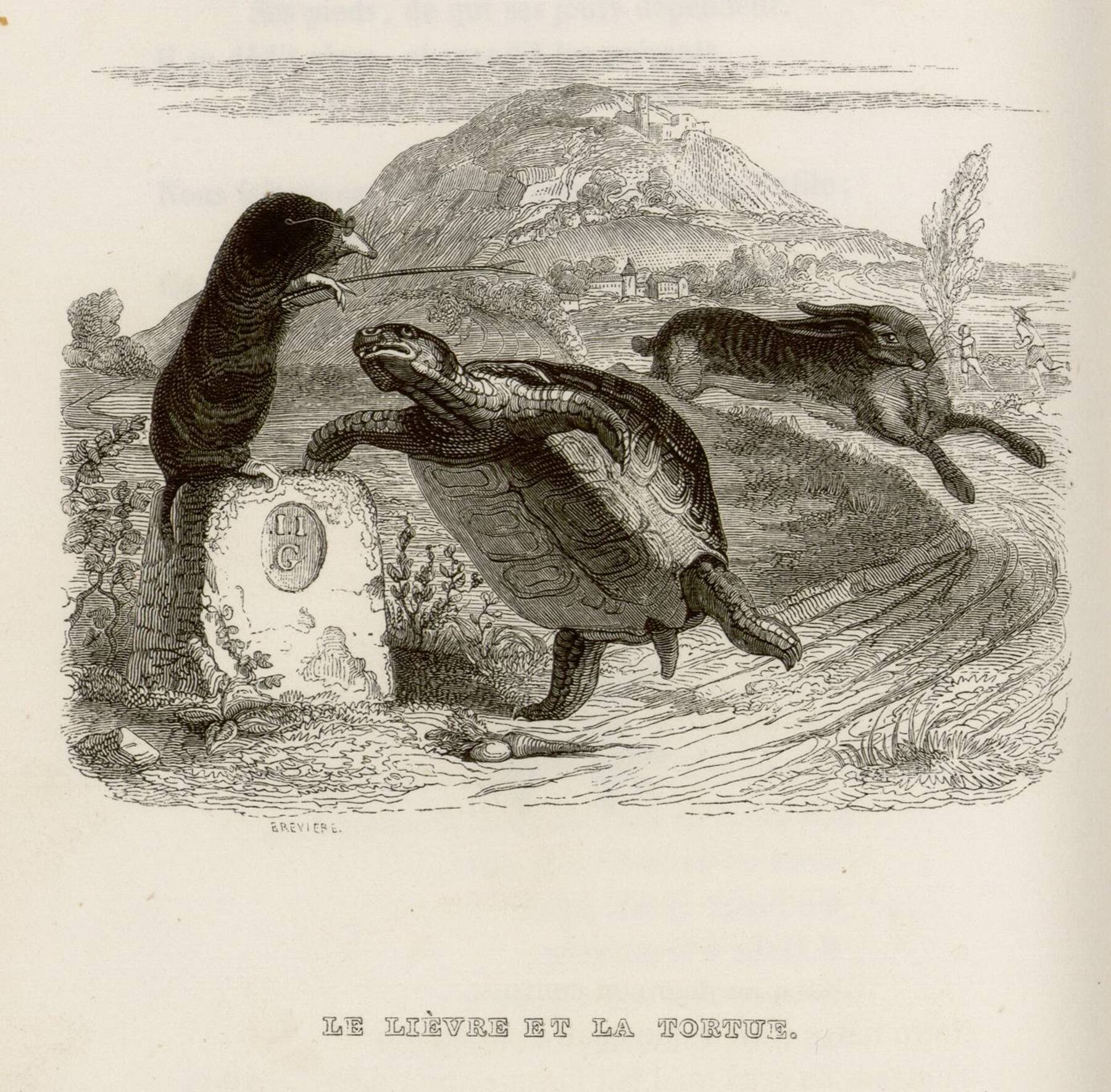 Contenu du Le lièvre et la tortue