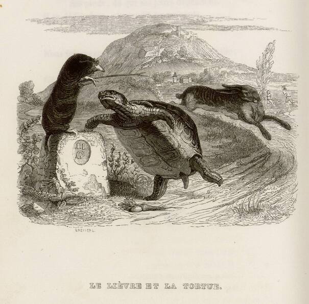 Contenu du Galerie de fables