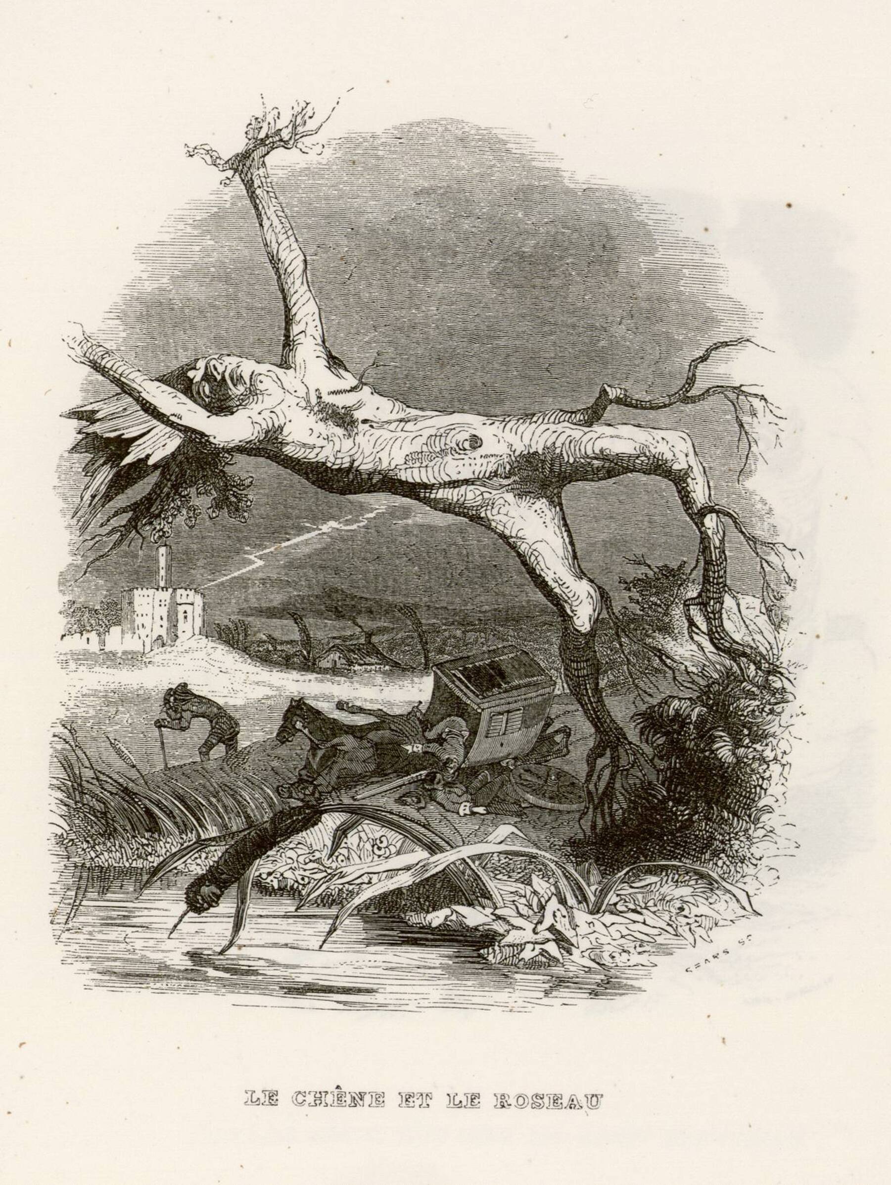 Contenu du Le chêne et le roseau