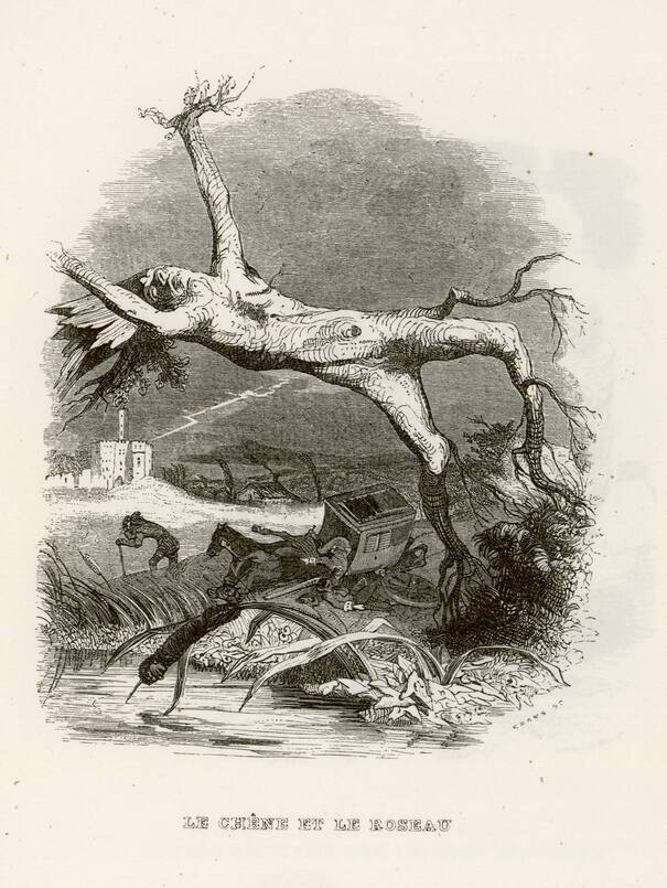 Contenu du Galerie de fables