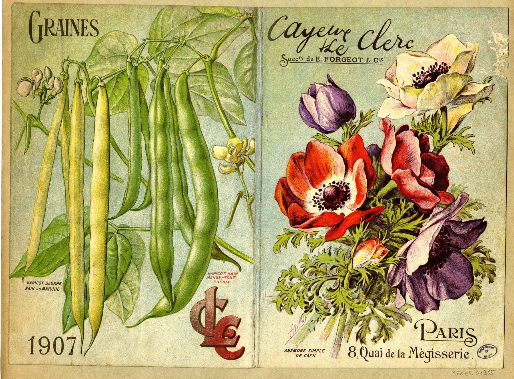 Contenu du Légumes et fleurs