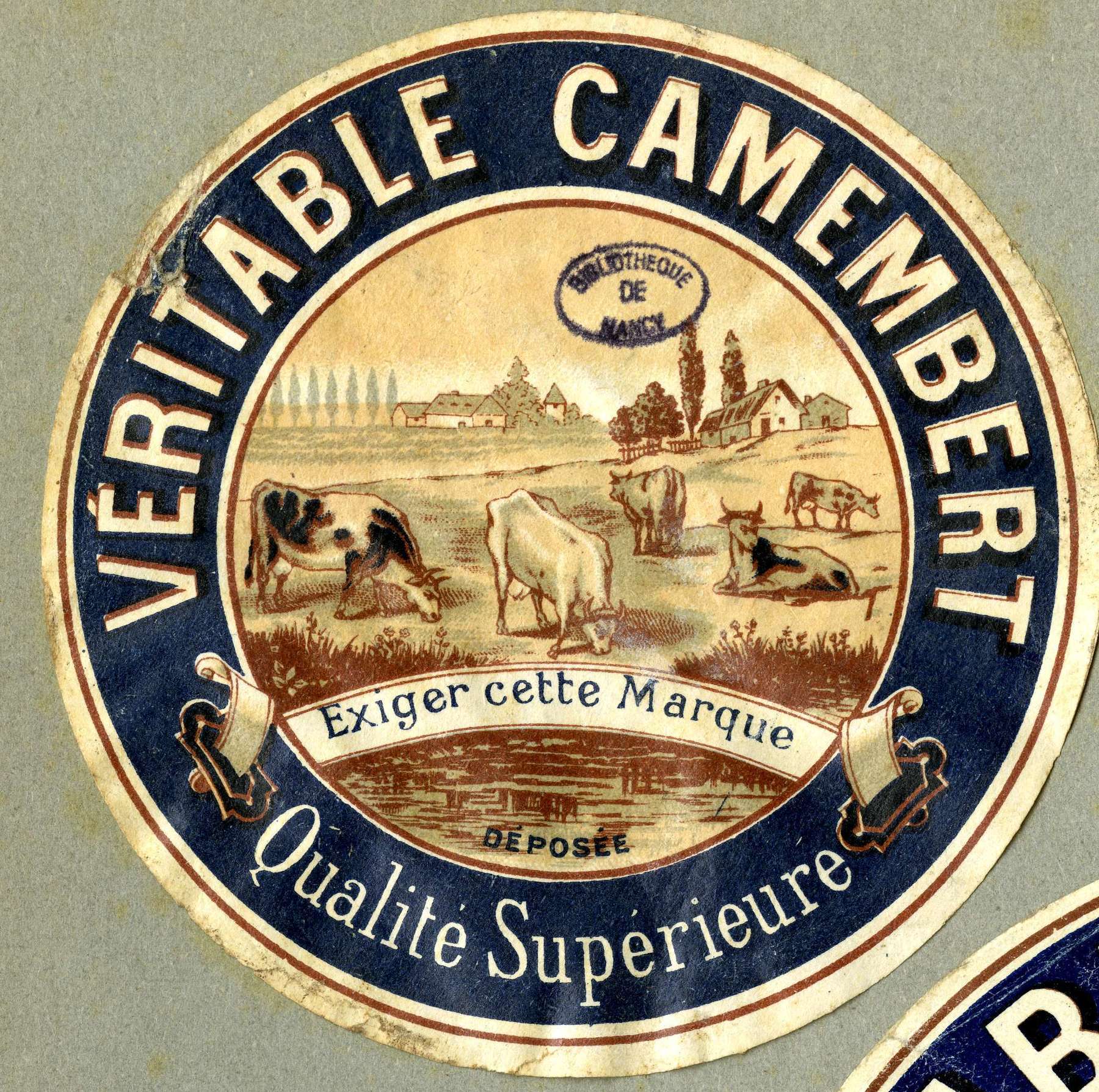 Contenu du Véritable camembert