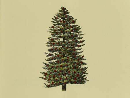 Contenu du Mon beau sapin ! Contenu du Mon beau sapin !