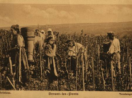 Contenu du Localisation des vignes dans le Pays Messin Contenu du Localisation des vignes dans le Pays Messin