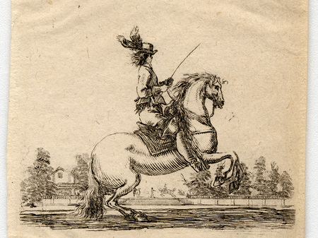 Contenu du À cheval