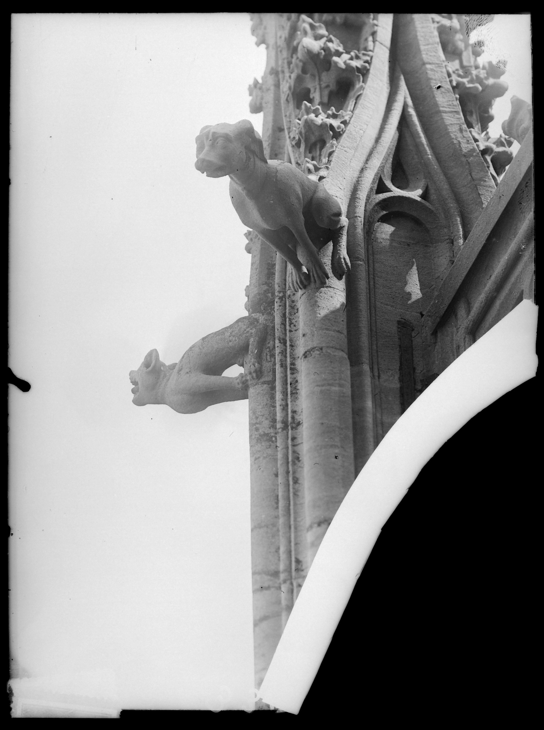 Contenu du Gargouilles sur la cathédrale Saint-Étienne