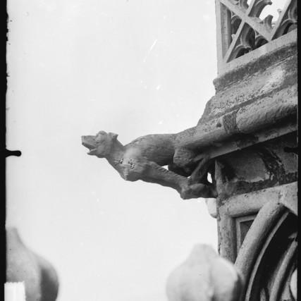 Contenu du Le bestiaire et ses gargouilles Contenu du Le bestiaire et ses gargouilles