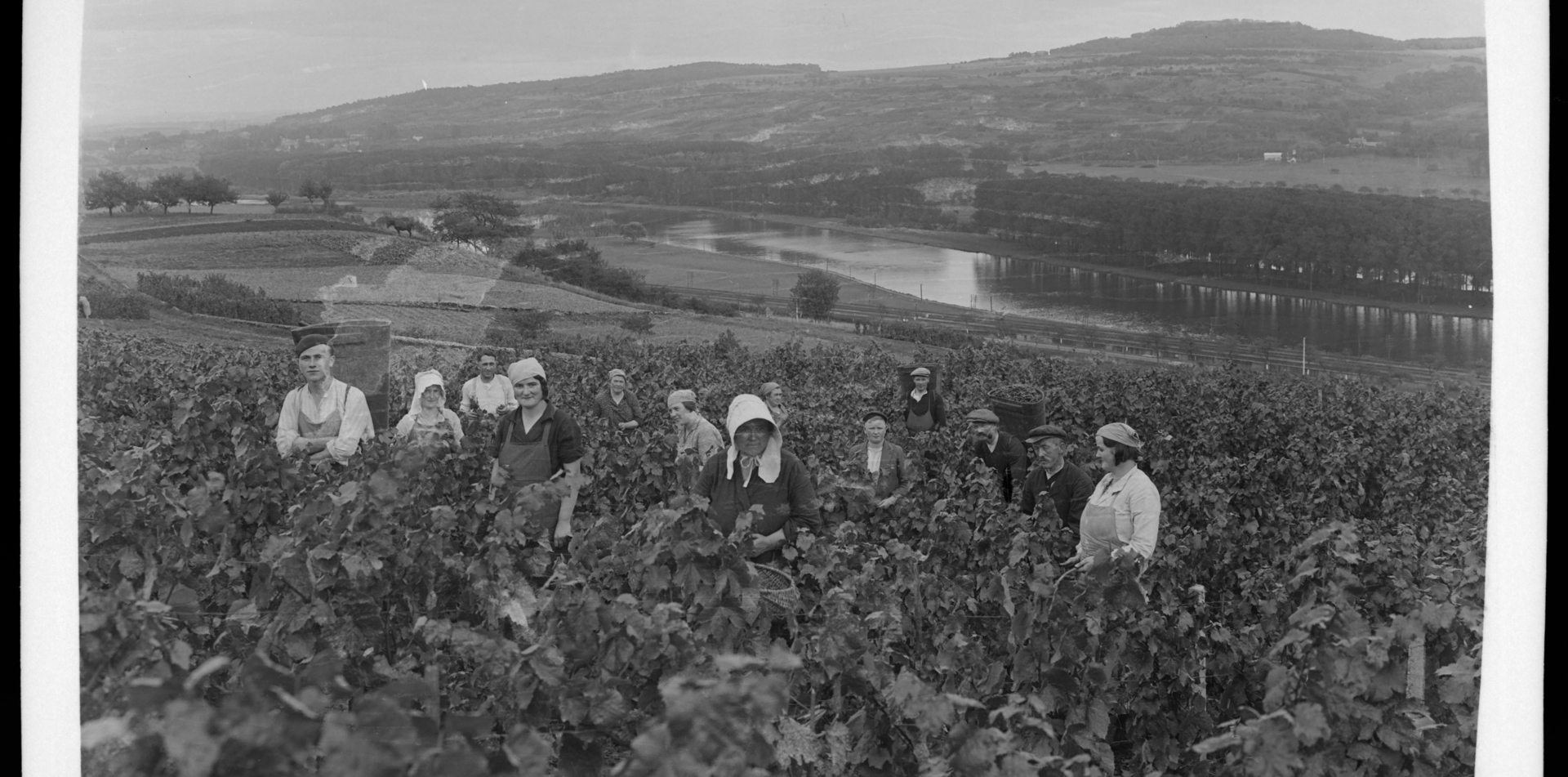 Contenu du Histoire du vin de Lorraine et de Moselle