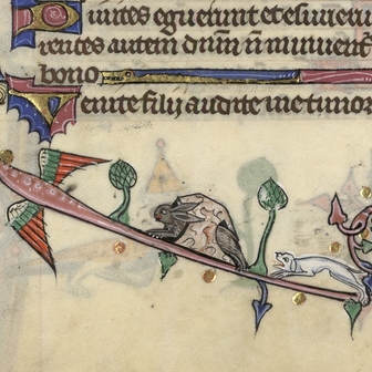 Contenu du Attrape-moi si tu peux…