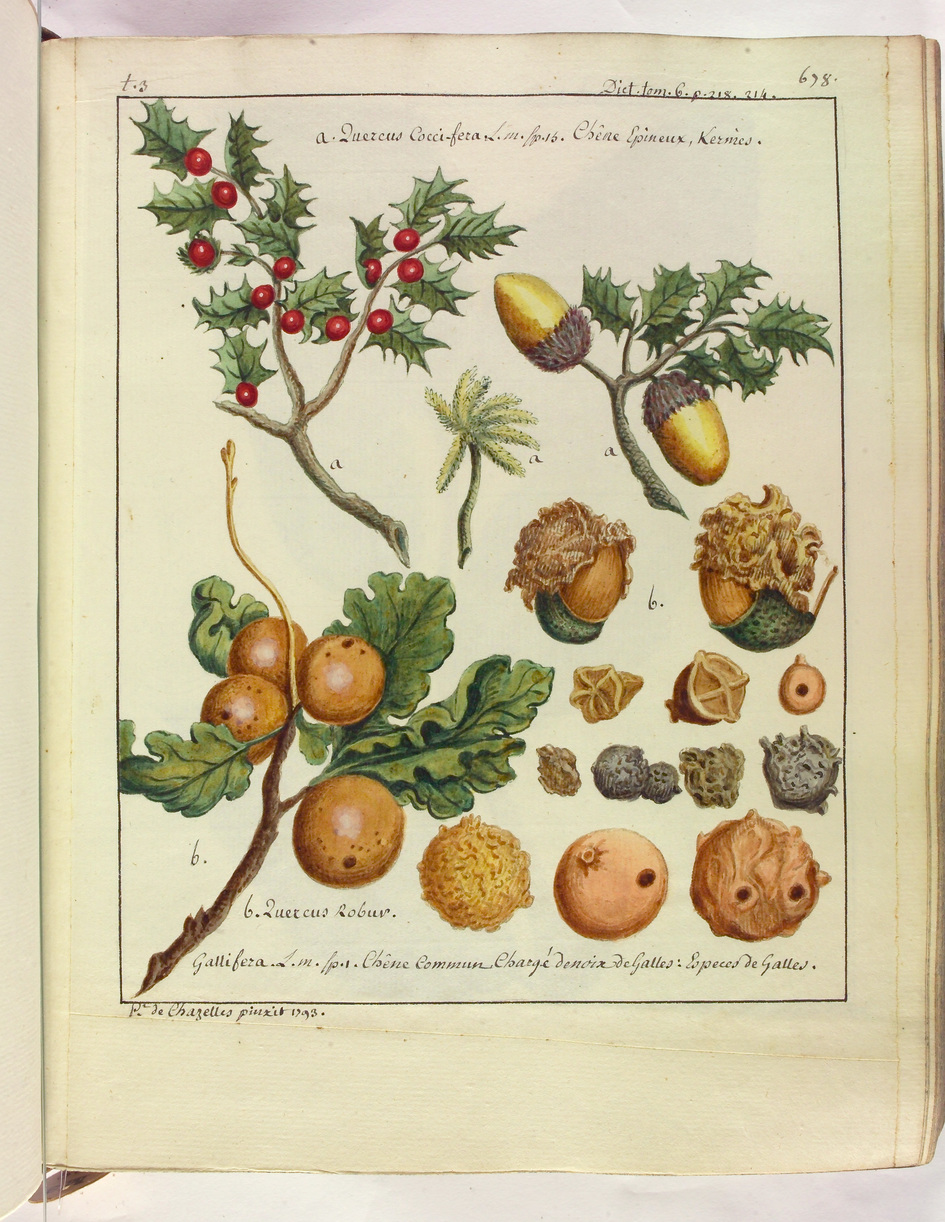Contenu du Les fruits lorrains et leurs dérivés Contenu du Les fruits lorrains et leurs dérivés