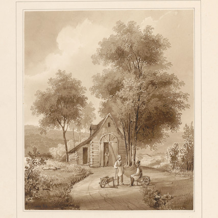 Contenu du Balade au parc du château d'Épinal Contenu du Balade au parc du château d'Épinal