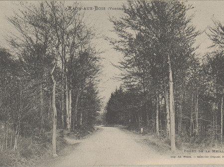 Contenu du La forêt en Lorraine Contenu du La forêt en Lorraine