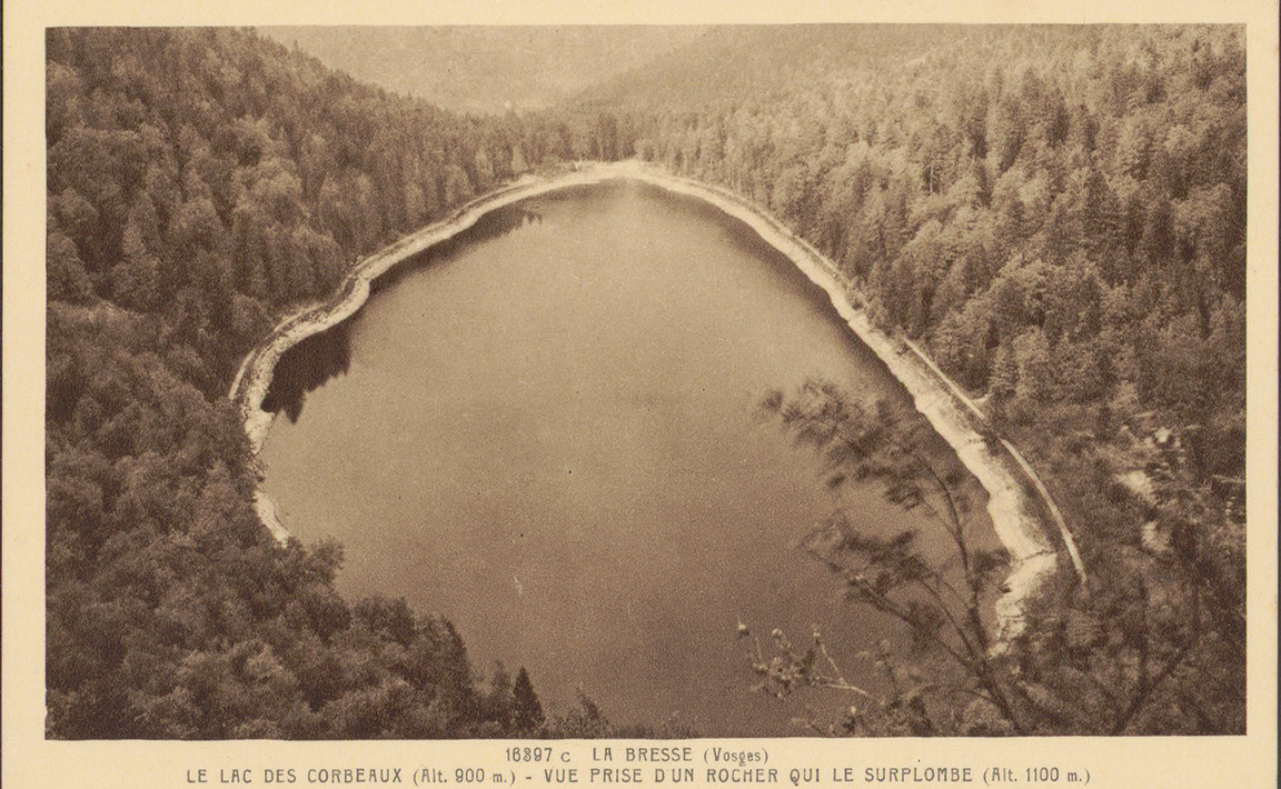 Contenu du Lac des Corbeaux (La Bresse)