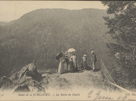 Contenu du La forêt lorraine en bref... ou presque ! Contenu du La forêt lorraine en bref... ou presque !