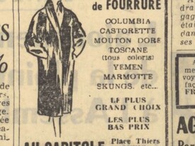 Contenu du Météo et publicités