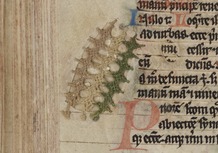 entrepot/thumbnails/entrepot/contenus-non-patrimoniaux/ms464_f336_KWUmuWe.png