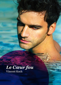 Le Cœur fou (roman gay)